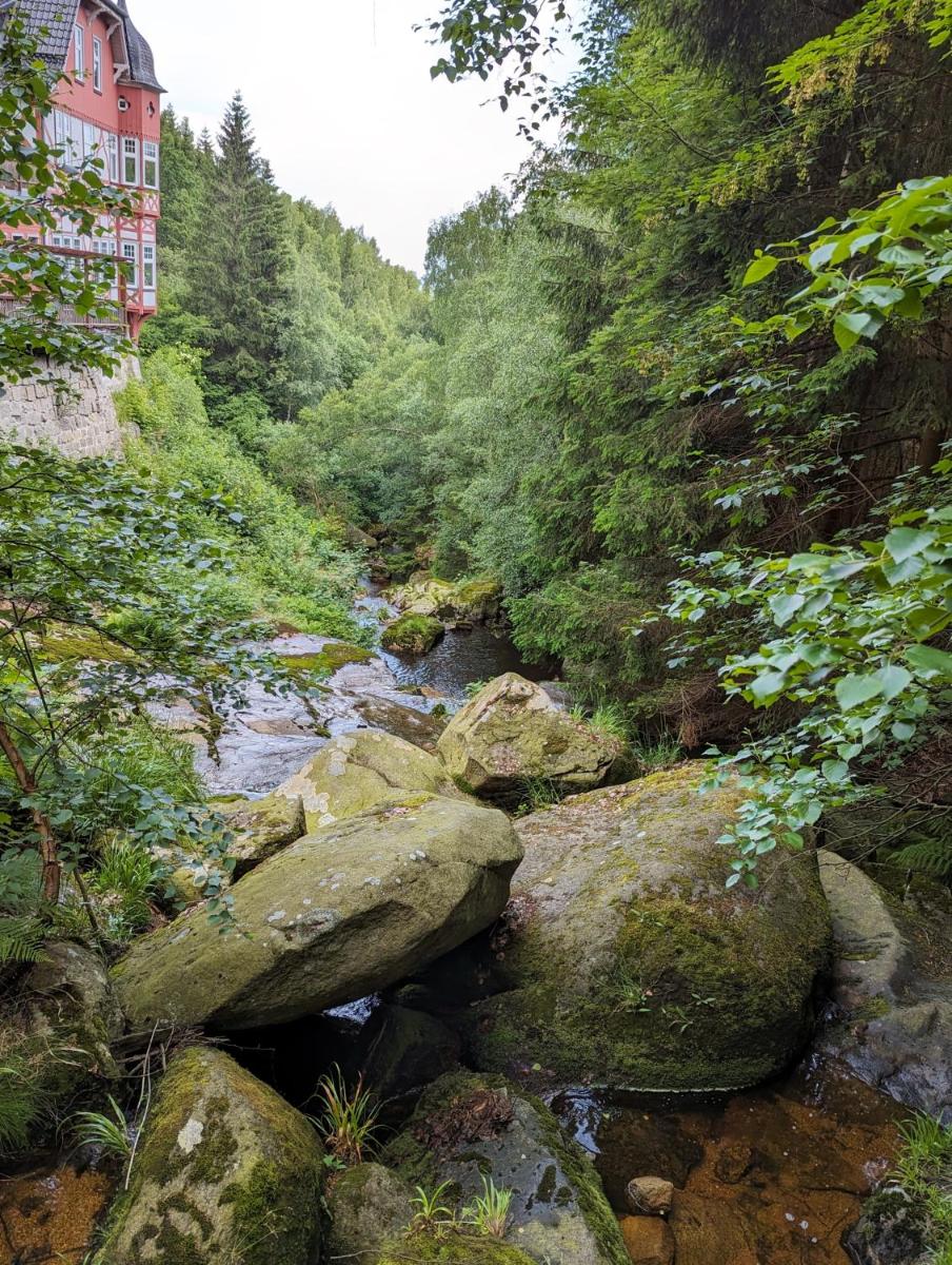Waldgasthaus & Berghotel Steinerne Renne - Housity