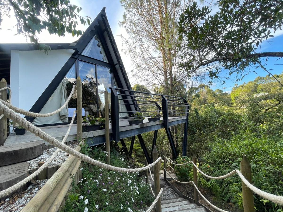 Ecoluxury Glamping - Housity
