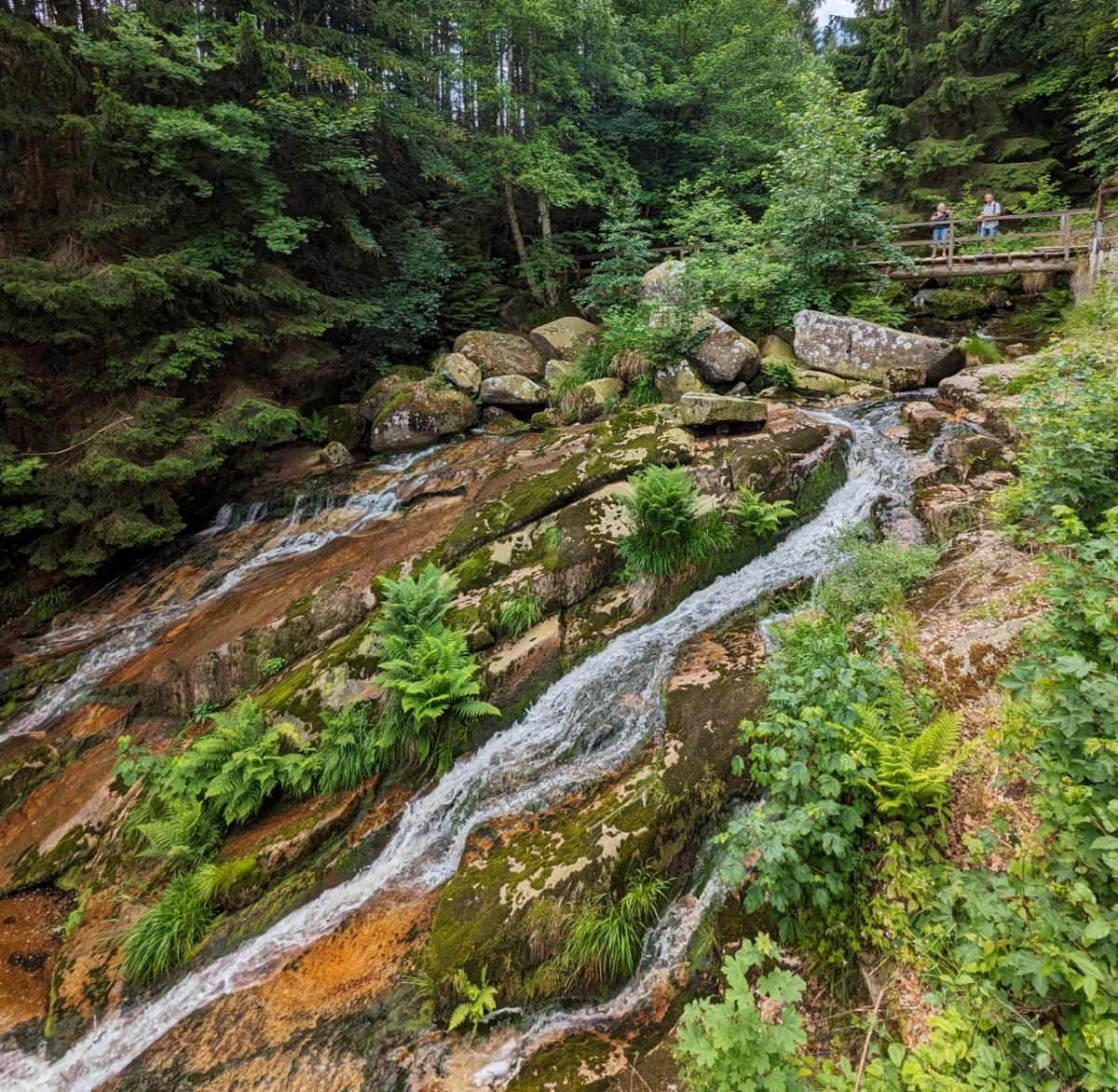 Waldgasthaus & Berghotel Steinerne Renne - Housity