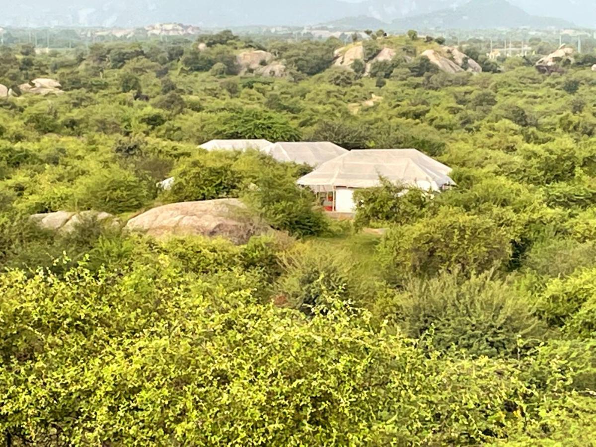 Rotela Camp Jawai - Housity