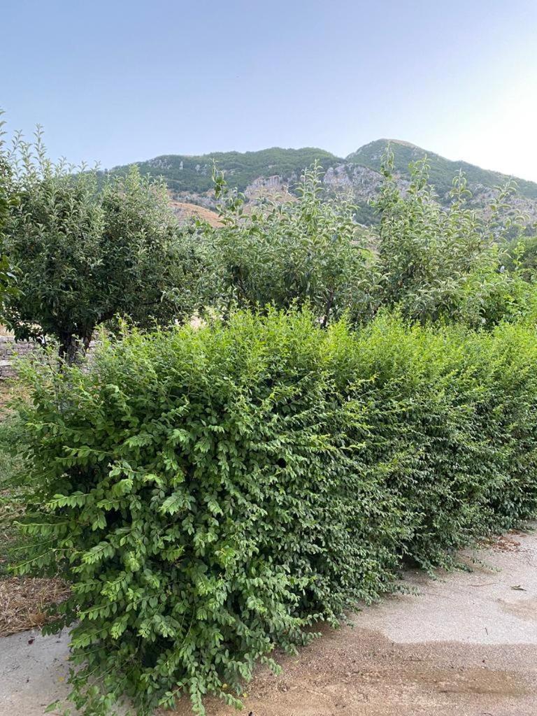 Villa Meta - Housity