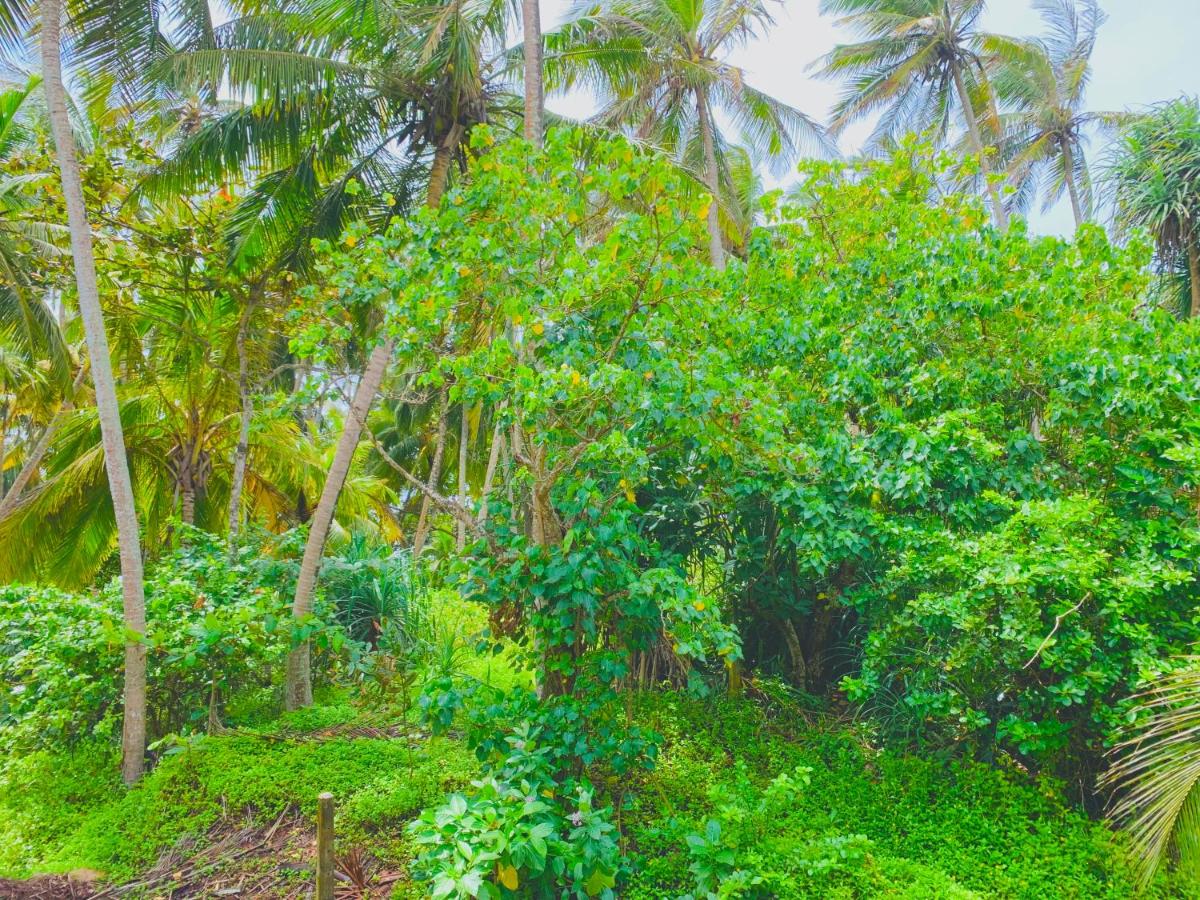 Surf Home Stay Hiriketiya - Housity