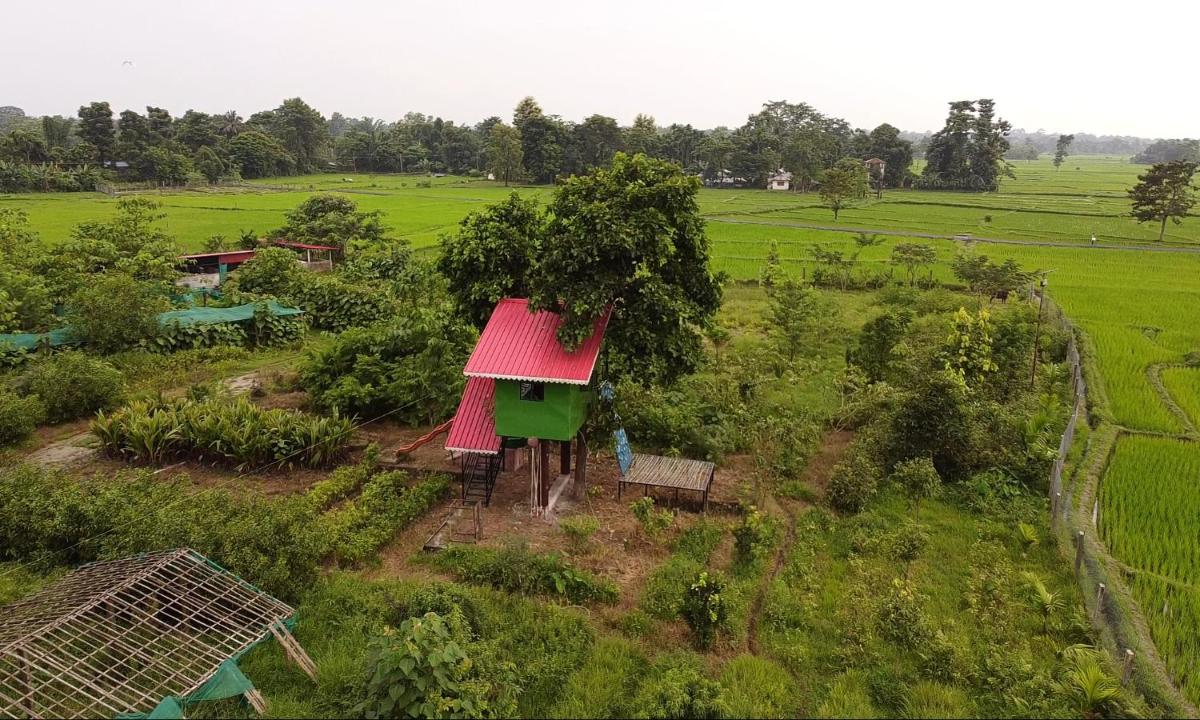 The GreyStone FarmHouse, Turibari - Housity