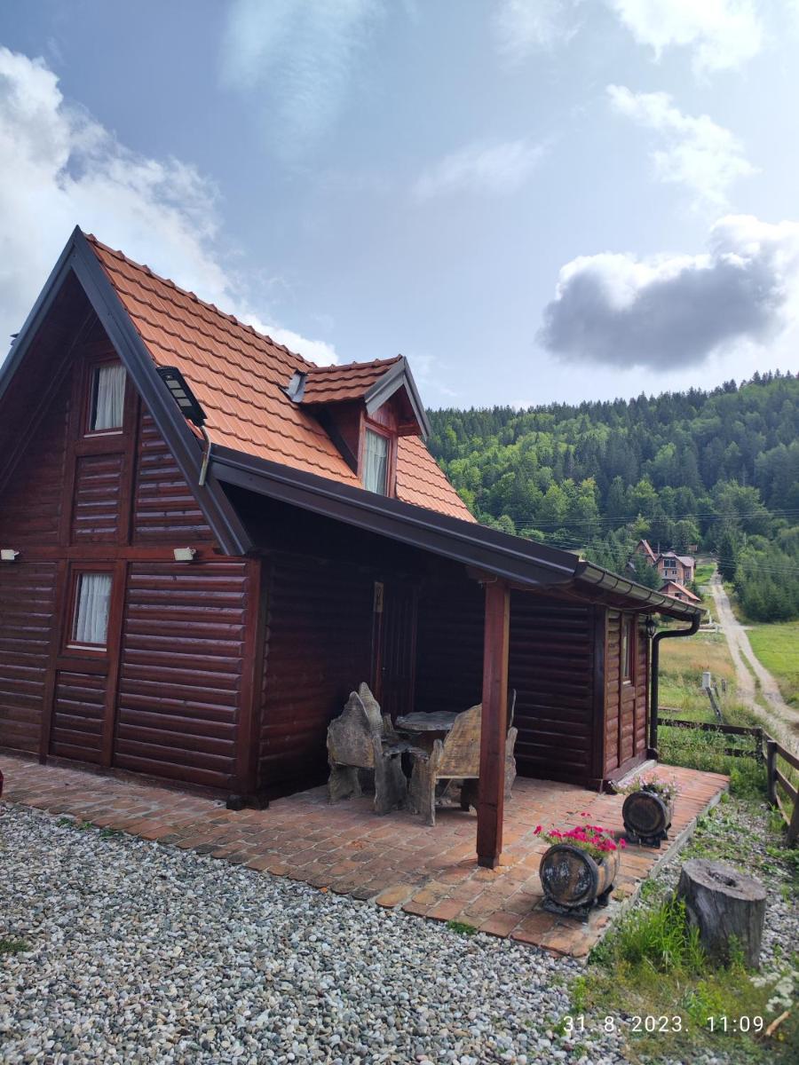 Vila Carobna suma Tara - Housity