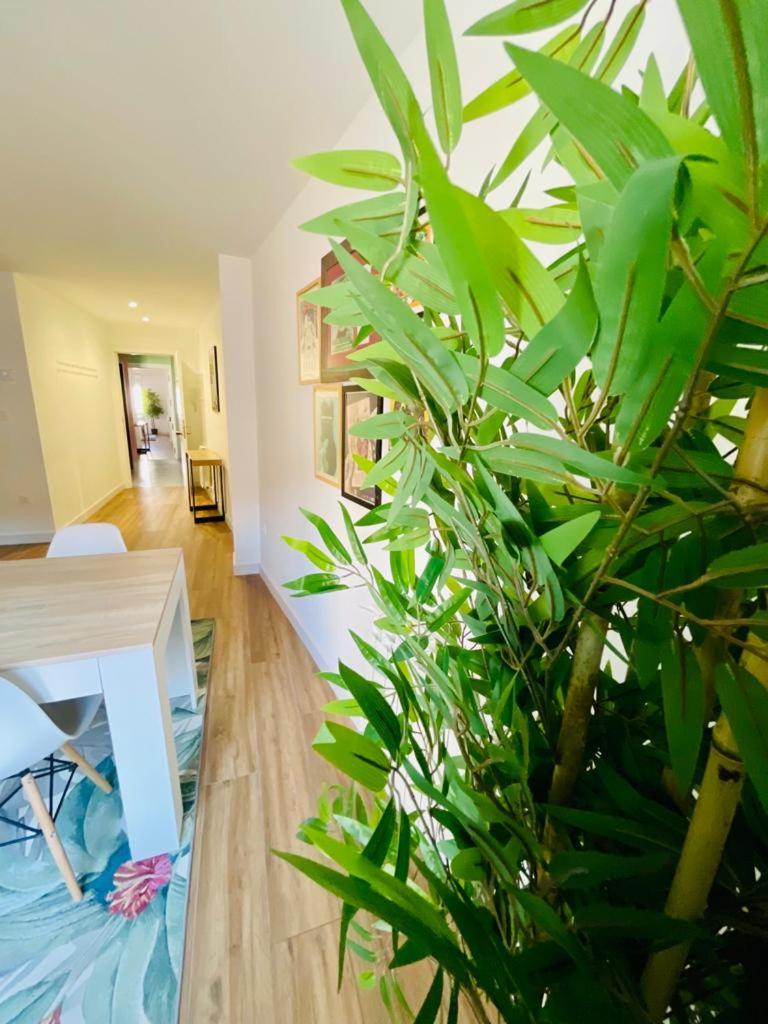 La Casa del Rock - Housity