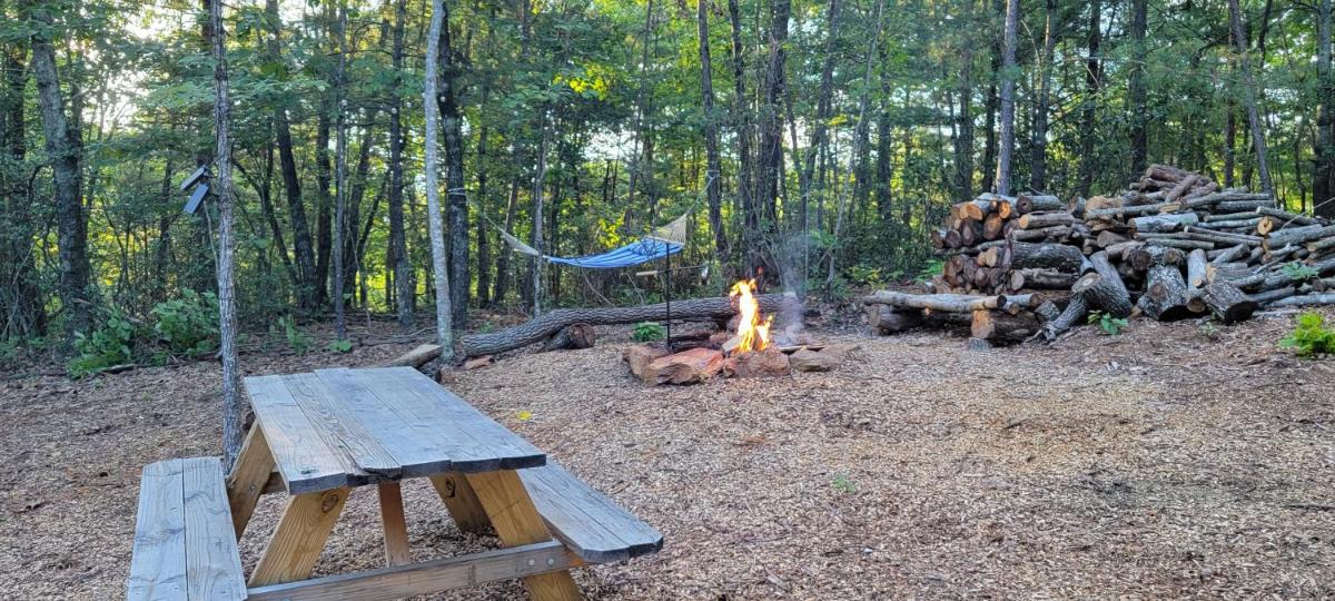 Private place for rest in the forest Tent 1 Forrest Cump - Housity