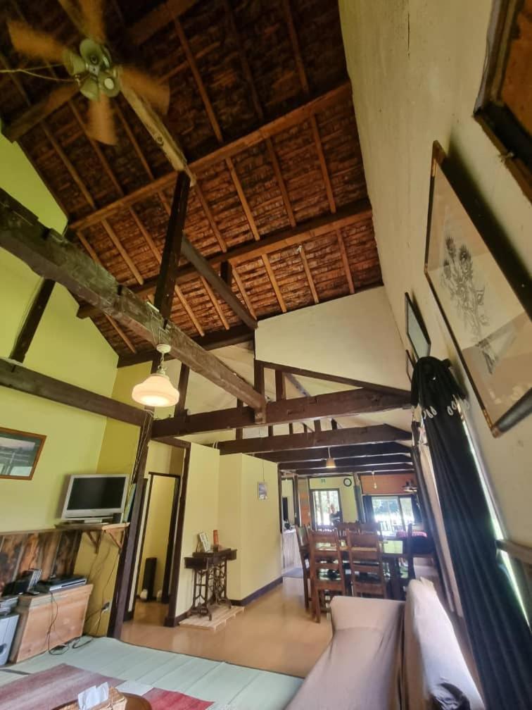 Bears House - Hizvo