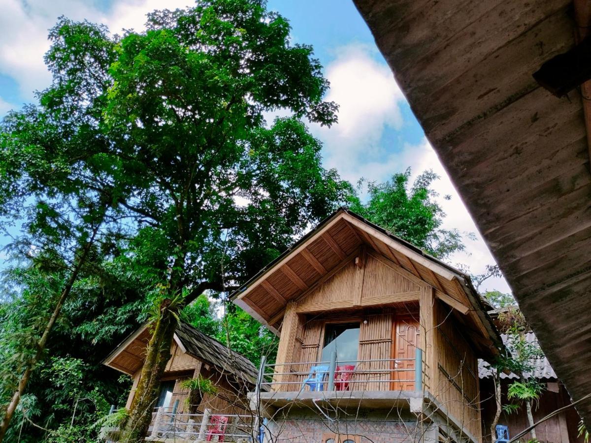 Mama Gia Homestay - Housity