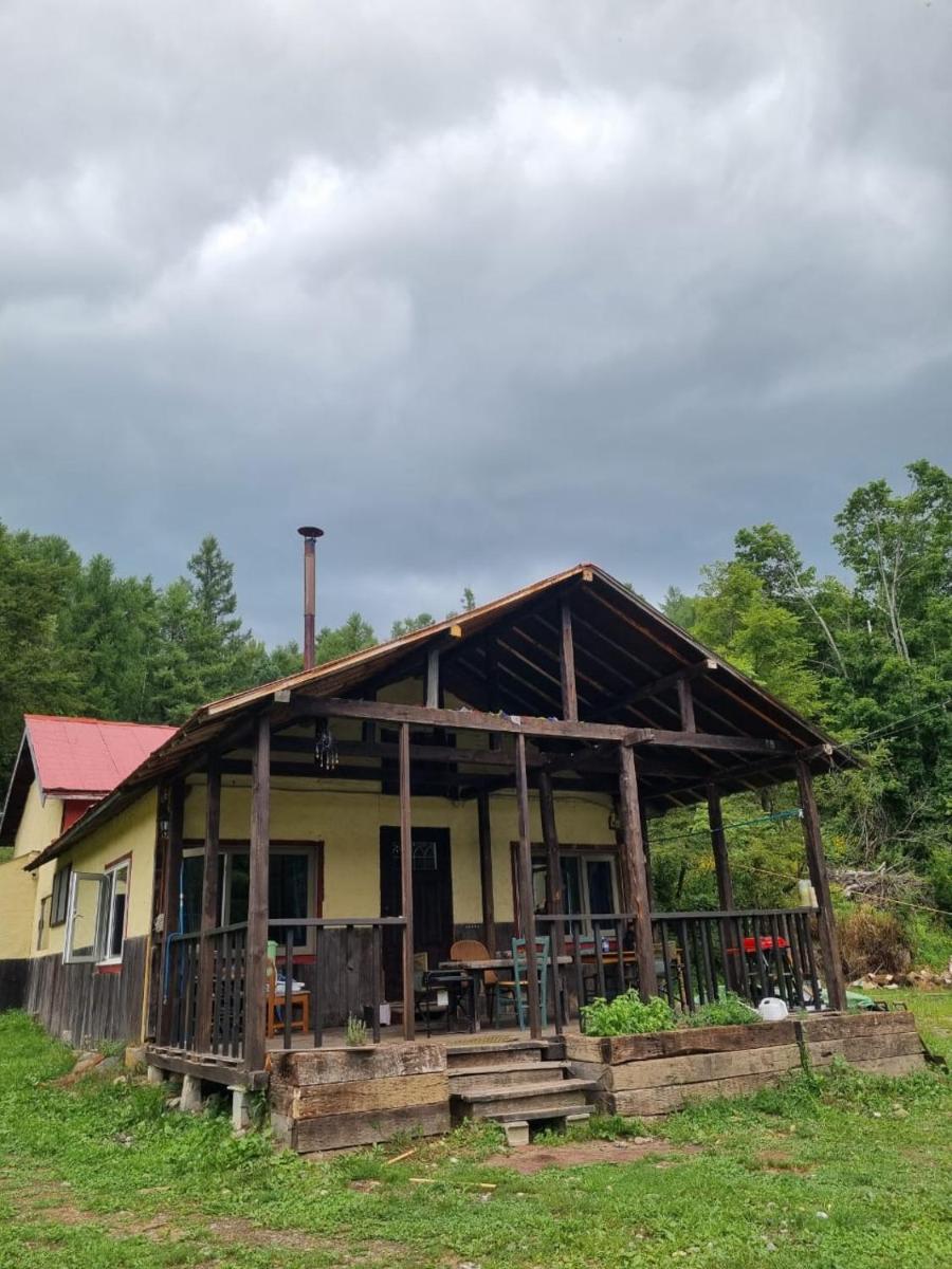 Bears House - Hizvo
