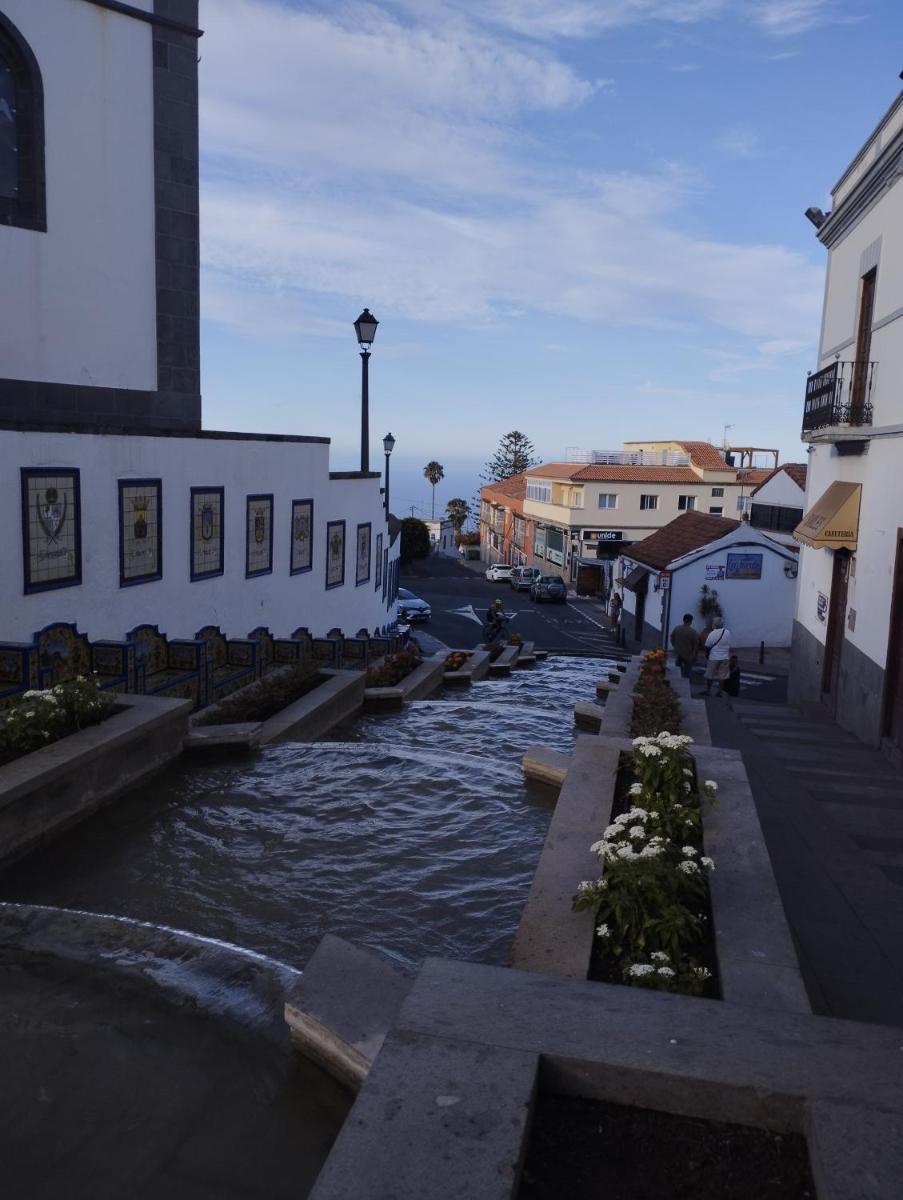 Acoran Family Ocean View Guest House With Daily Yoga Practice Included North Gran Canaria PRIVATE ROOM PET FRIENDLY - Housity