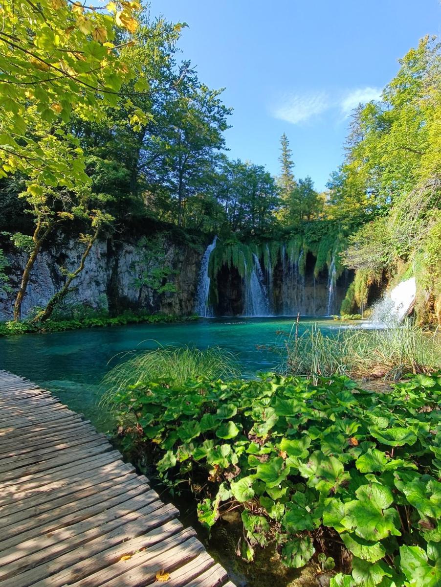 Guesthouse Nikolina - Housity