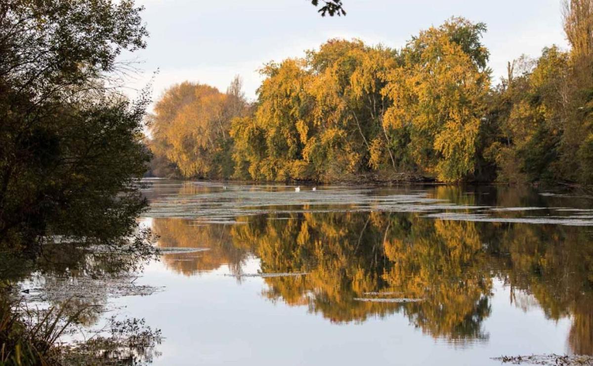 La Tiny House au bord de l'eau - Housity