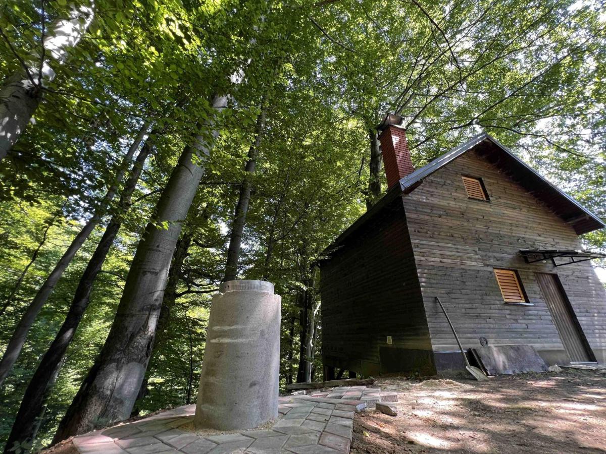 Vikendica Green Forest, Zenica - Housity