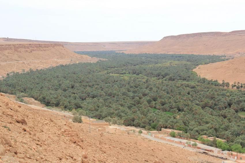 HÔTE SAHARA - Housity