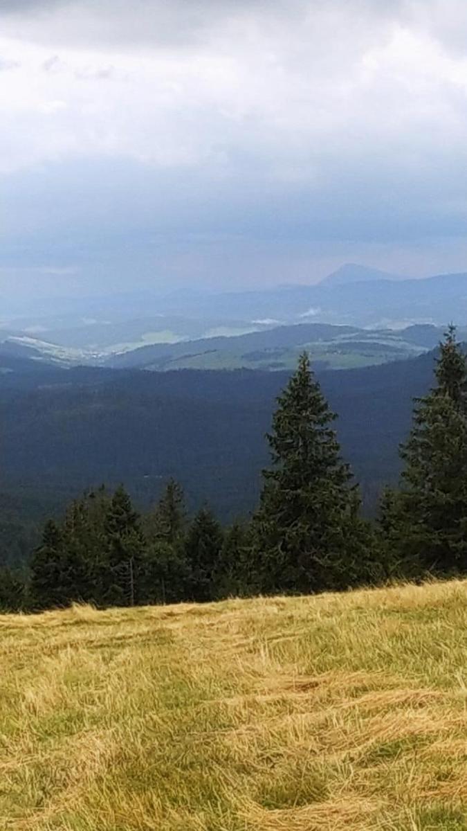 Dom Wypoczynkowy Pod Polanką - Housity
