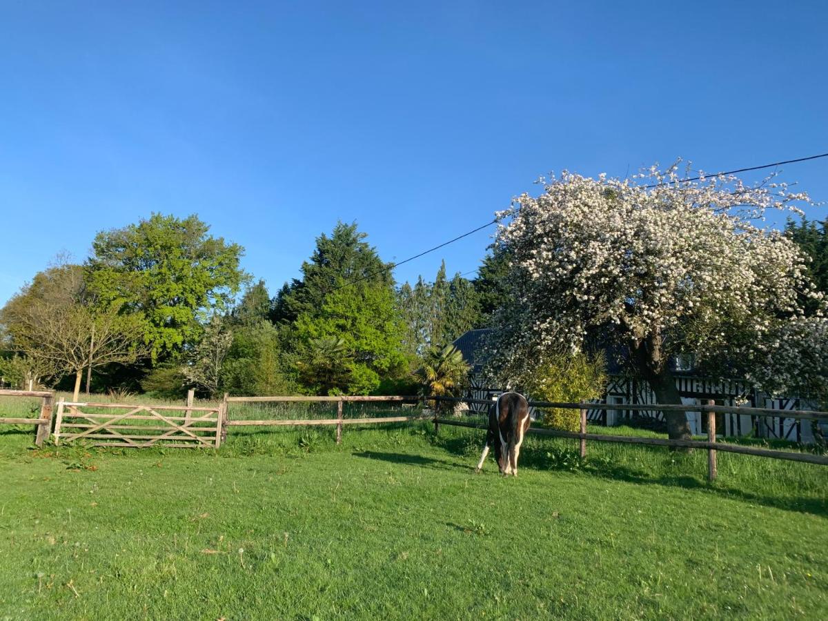 Gîte Le bonheur est dans le pré - Housity