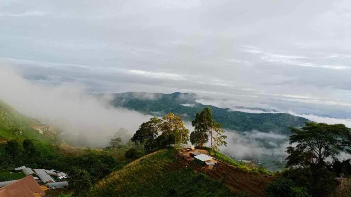 Phu Fahsai Homestay - Housity