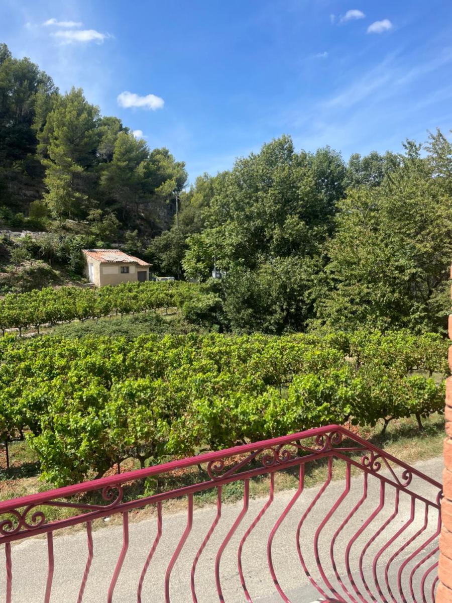 Appartement au calme au milieu du vignoble de Gigondas - Housity