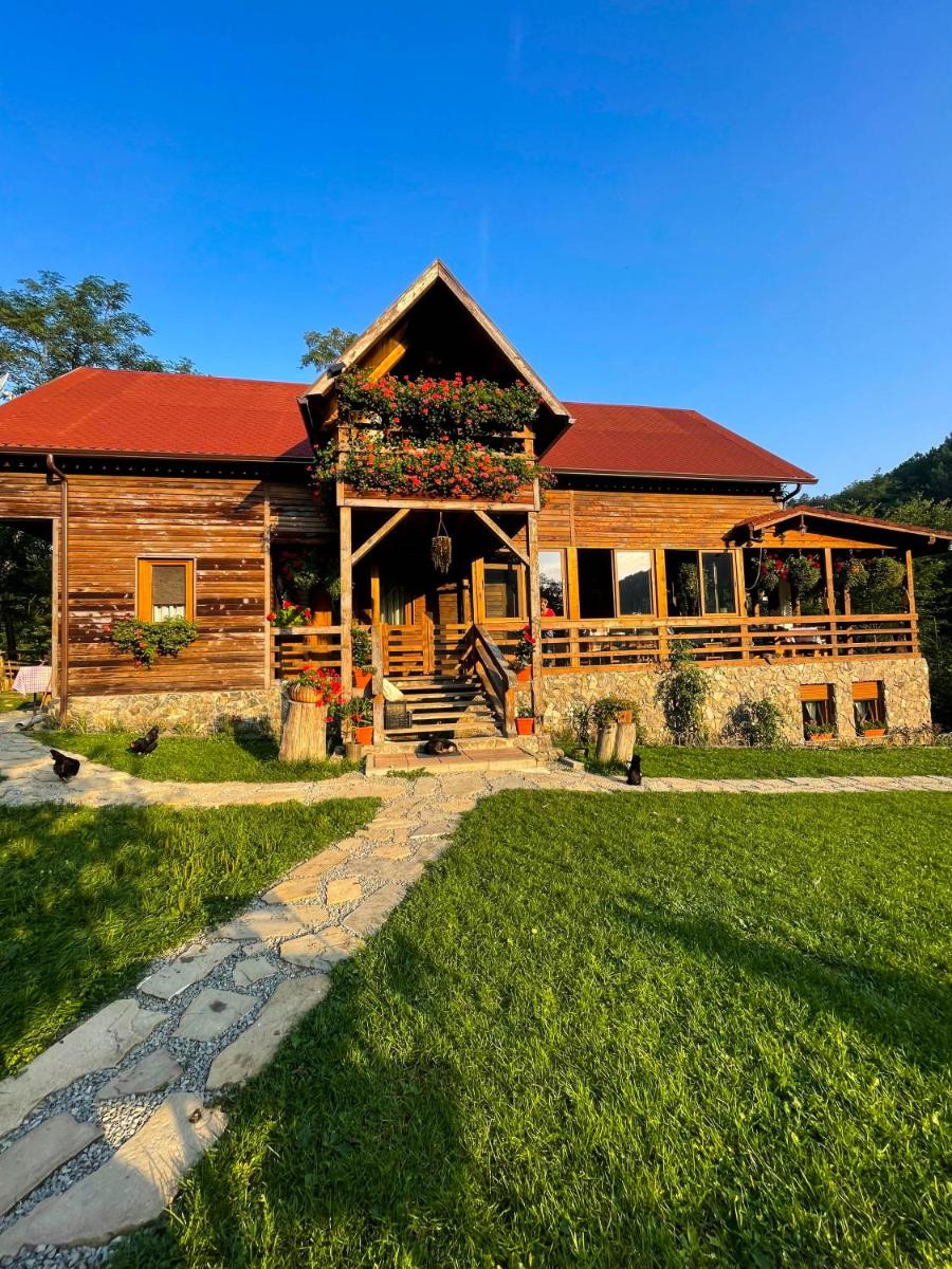 Cabana La domnu' de pe vale - Housity