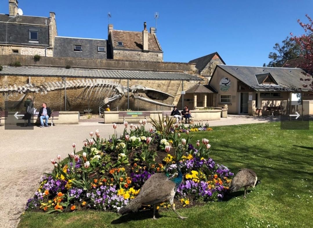 La petite lutine - Housity