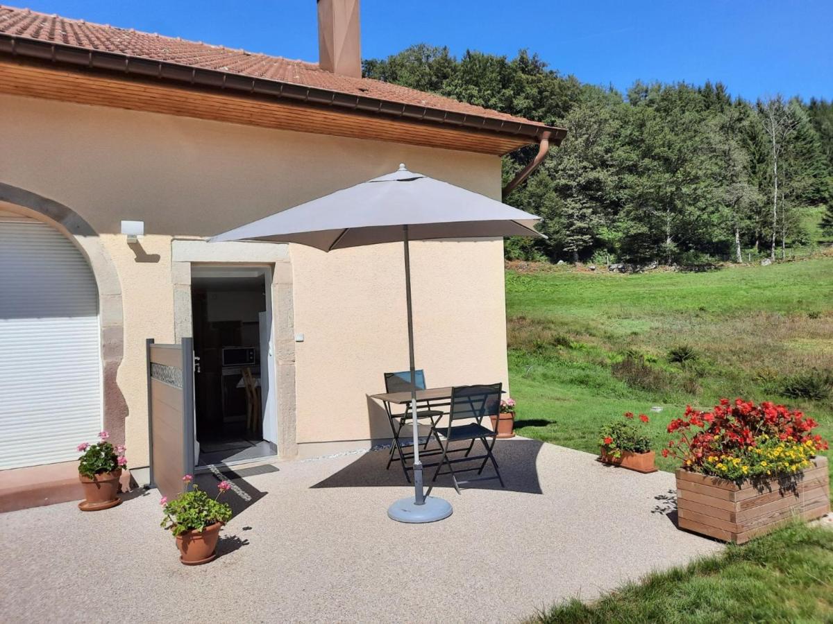 Charmant gîte en montagne, 3 étoiles, proche randonnées et Alsace, tout confort avec terrasse. - FR-1-589-391 - Housity