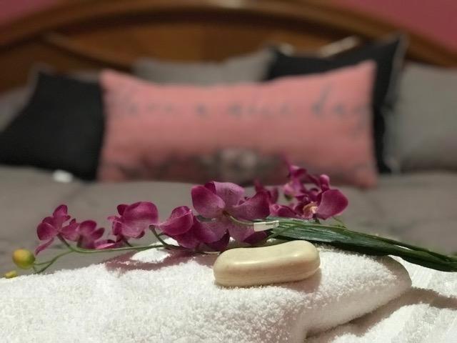 Iris Departamento - Housity