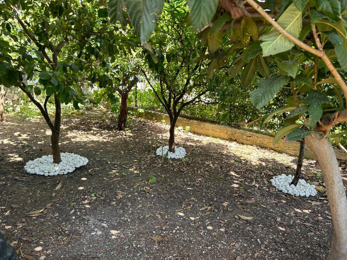 Aromi di Sicilia Casa Vacanze - Housity