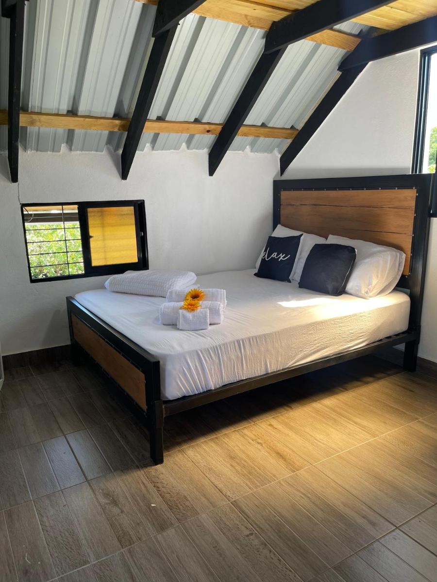 Lovely tiny studio - Housity