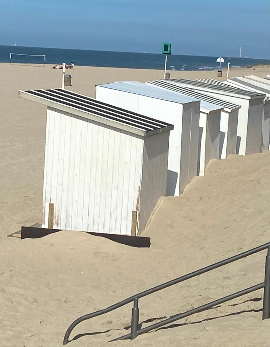Ruim zonnig appartement op 50m van strand - Housity