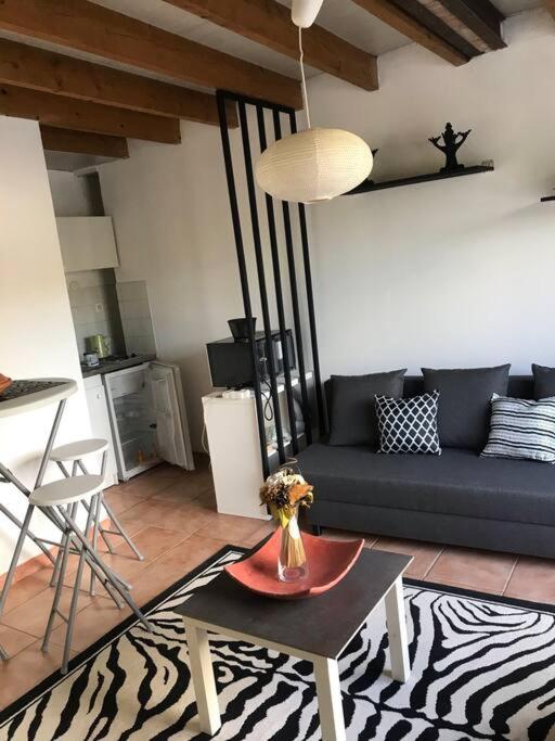 Très beau T2 dans mas . - Housity