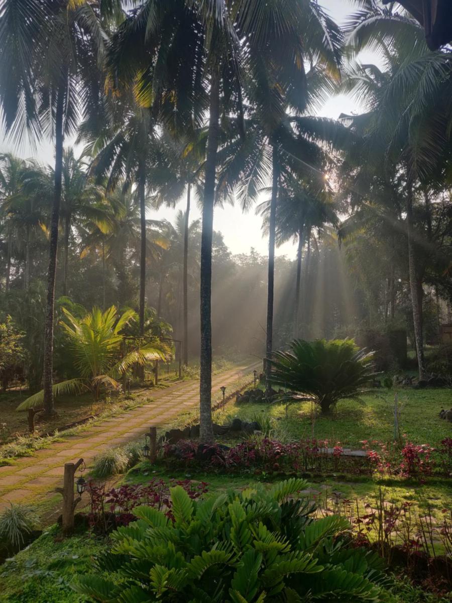 Suitetrails - Green World Resort