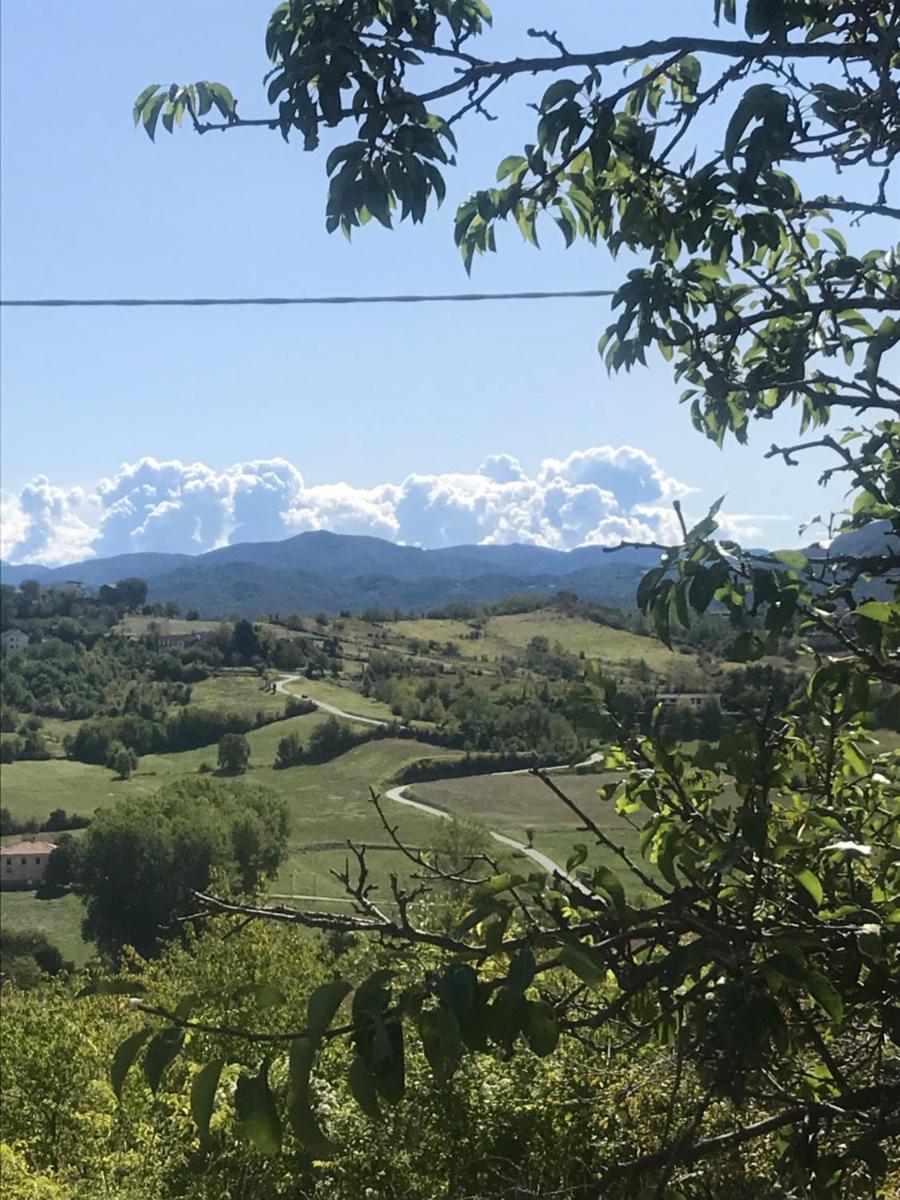 Borgo Francia - Housity