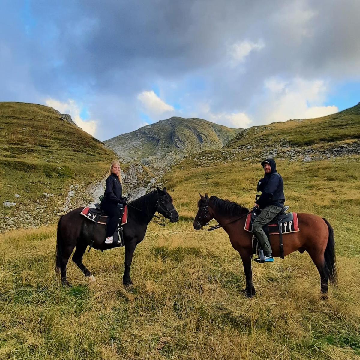 Katun Mokra accommodation & horseback riding - Housity