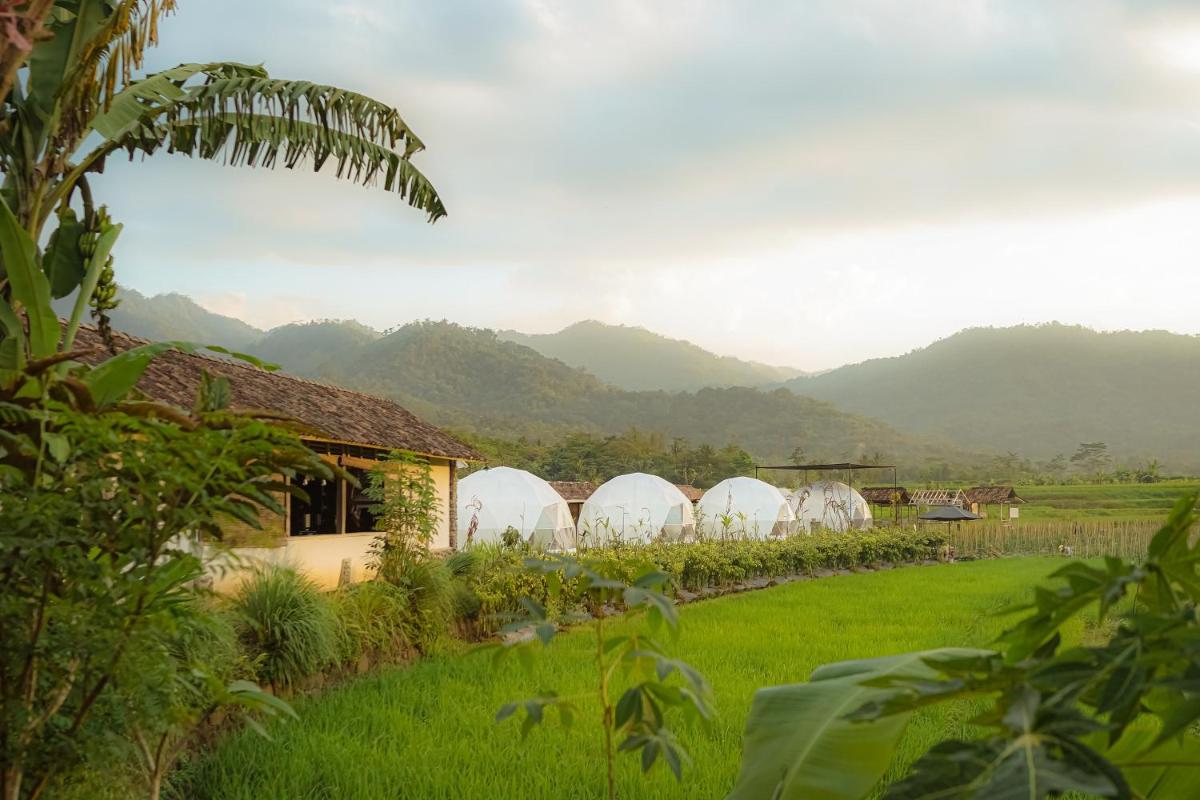 Suitetrails - Borobudur Luxury Glamping