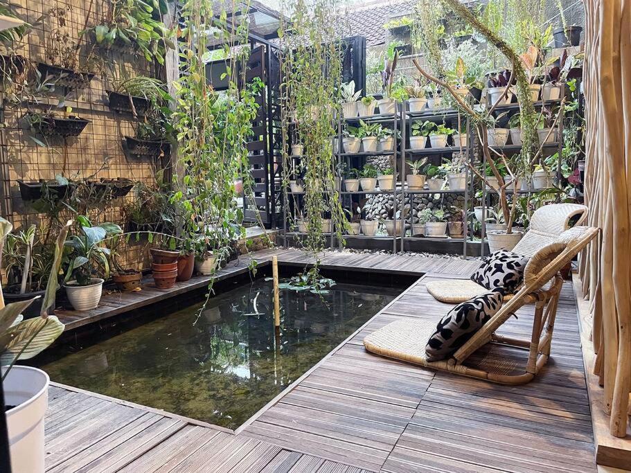 Teras Sabin - Housity