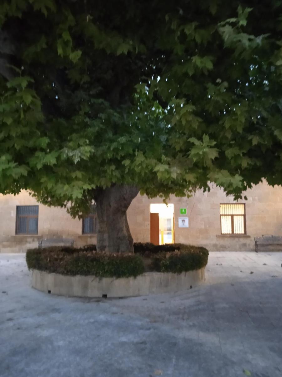 Albergue de Maella - Housity