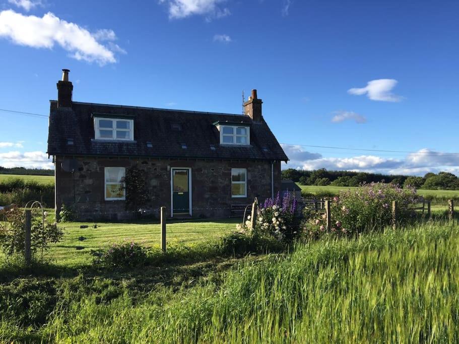 Blackhill Farm Cottage - Housity