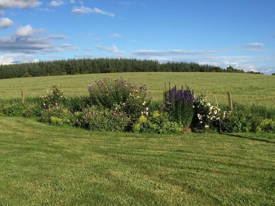 Blackhill Farm Cottage - Housity
