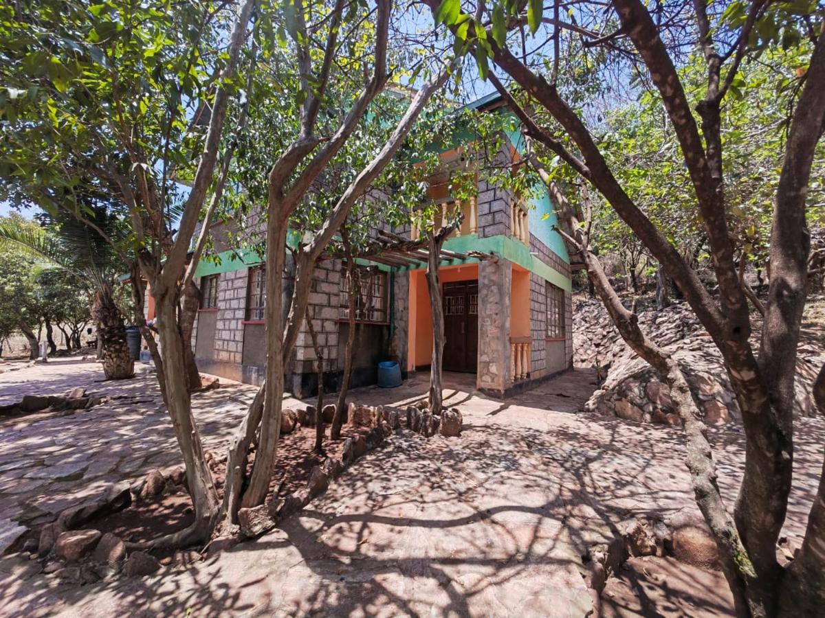 Mara bush house - Housity