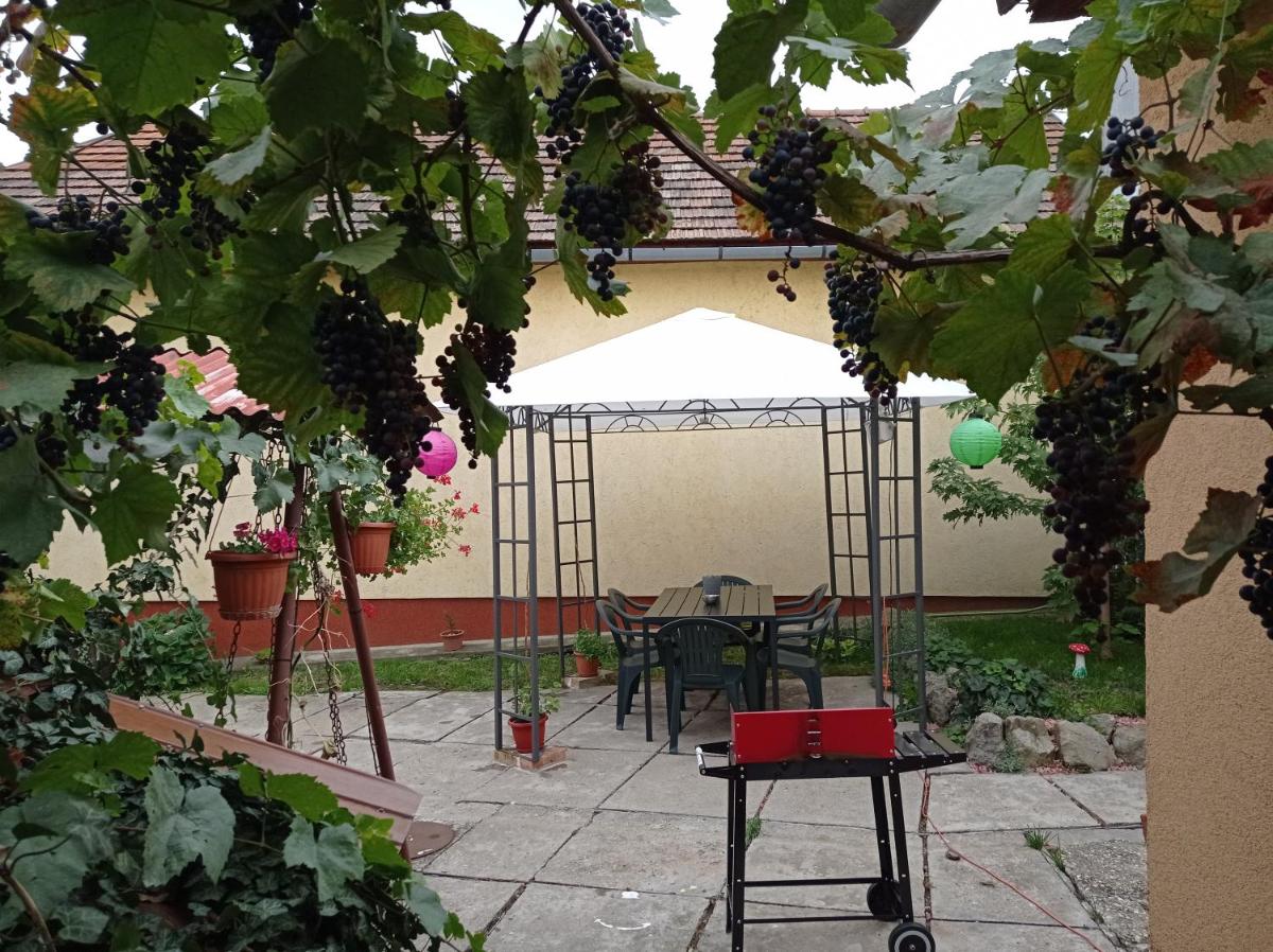 BORINA VENDÉGHÁZ - Housity