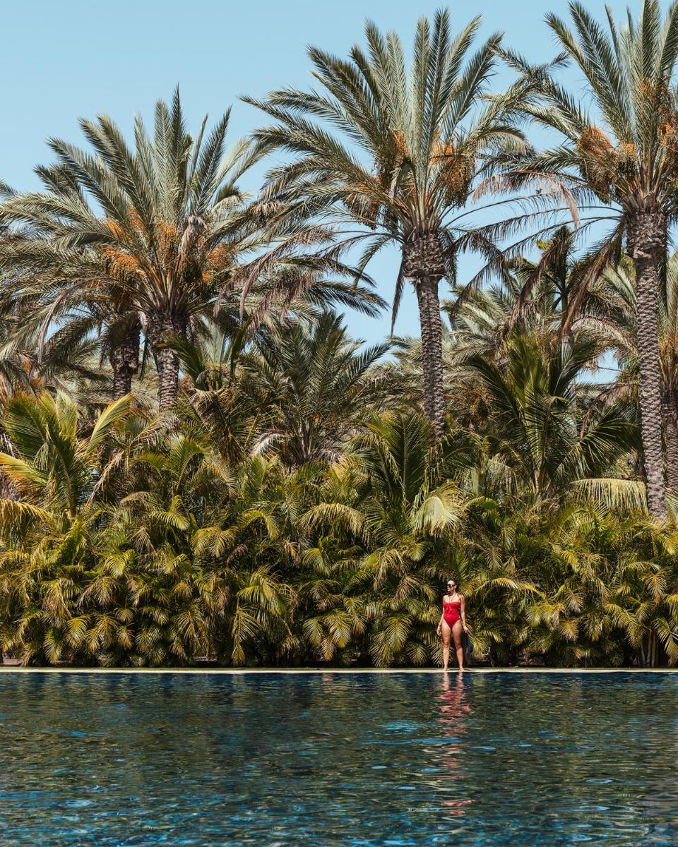 Paisaje cerca de este hotel