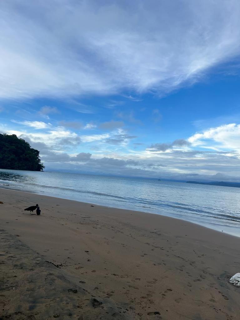 Cabaña La Marea - Housity