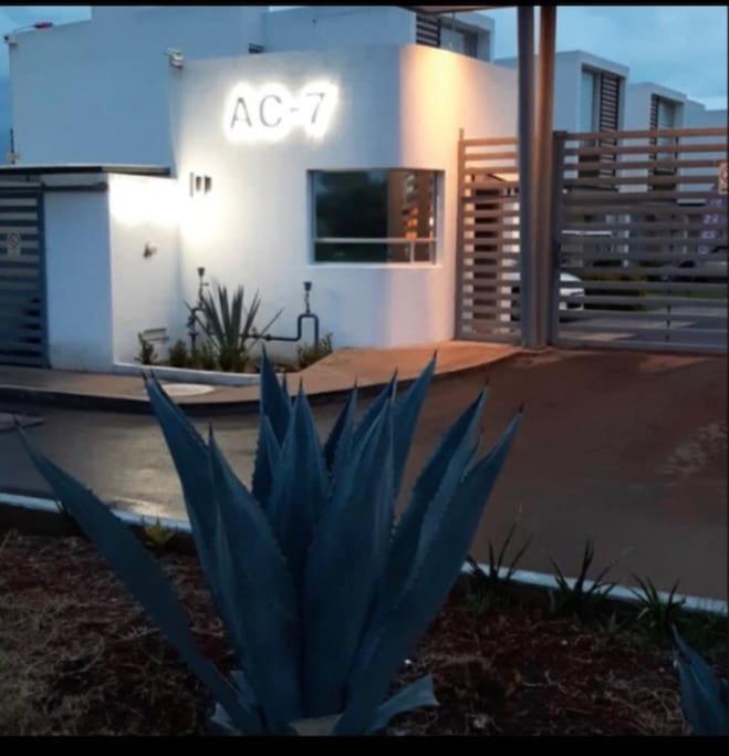 Comodidad y Tranquilidad a tu Alcance - Housity