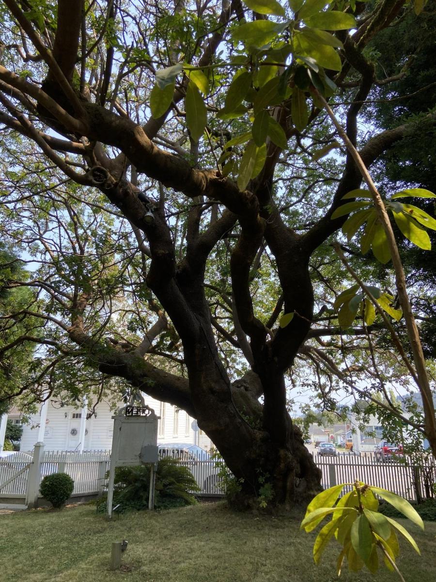 Shaw House Inn - Housity