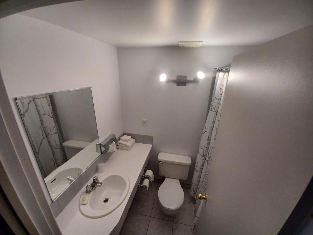 Auberge Le Dalton - Housity