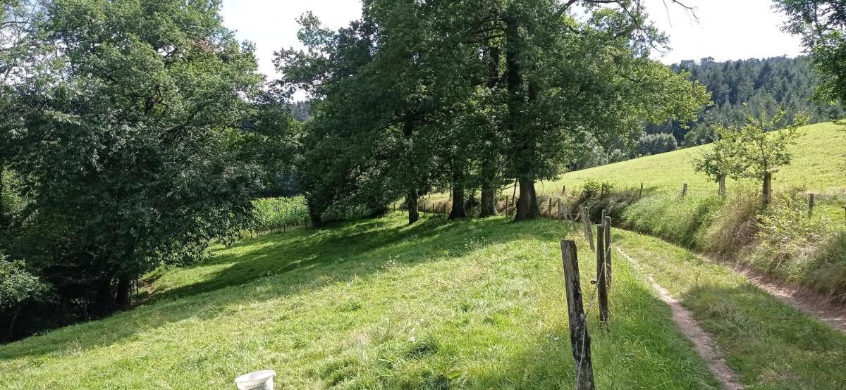 Suite à l'Oasis de Chamousset - Housity