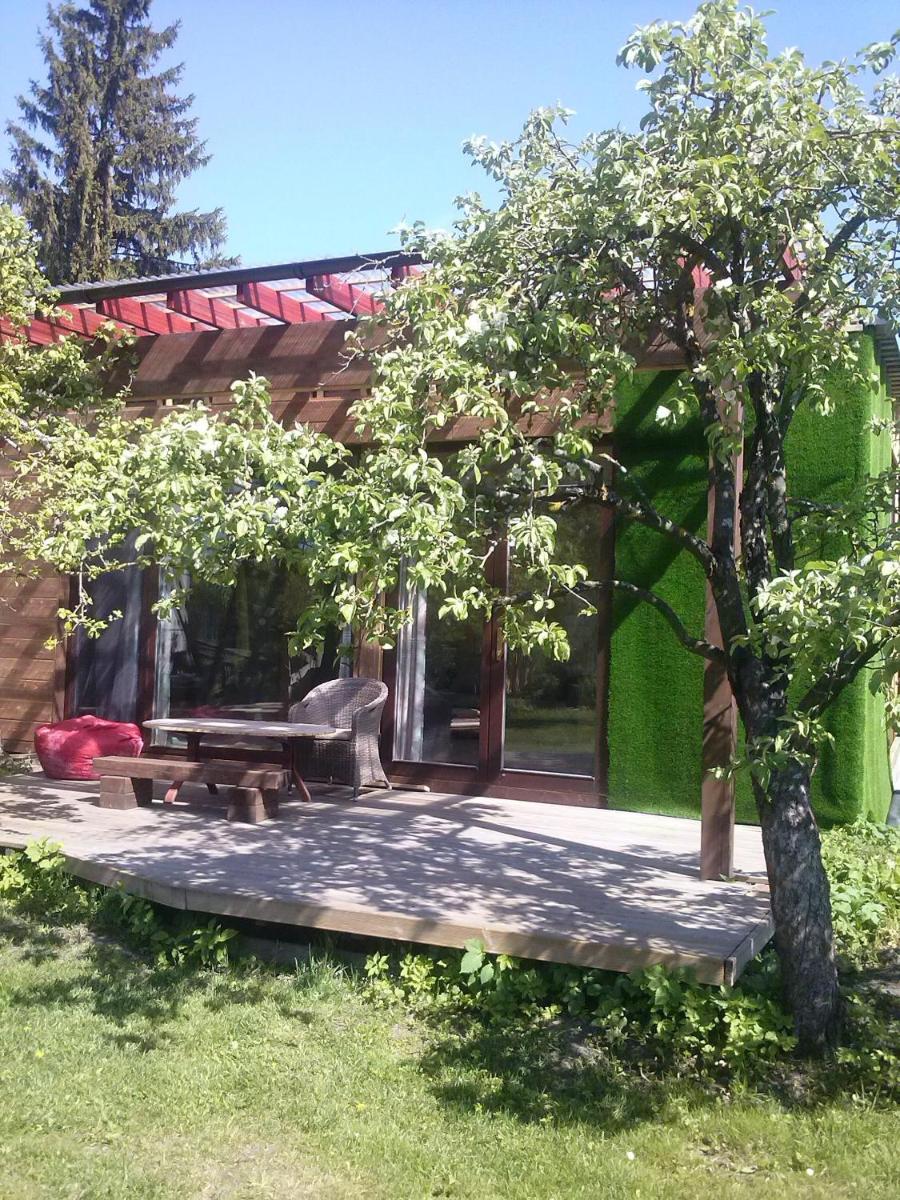 Apple Tree House - Hizvo