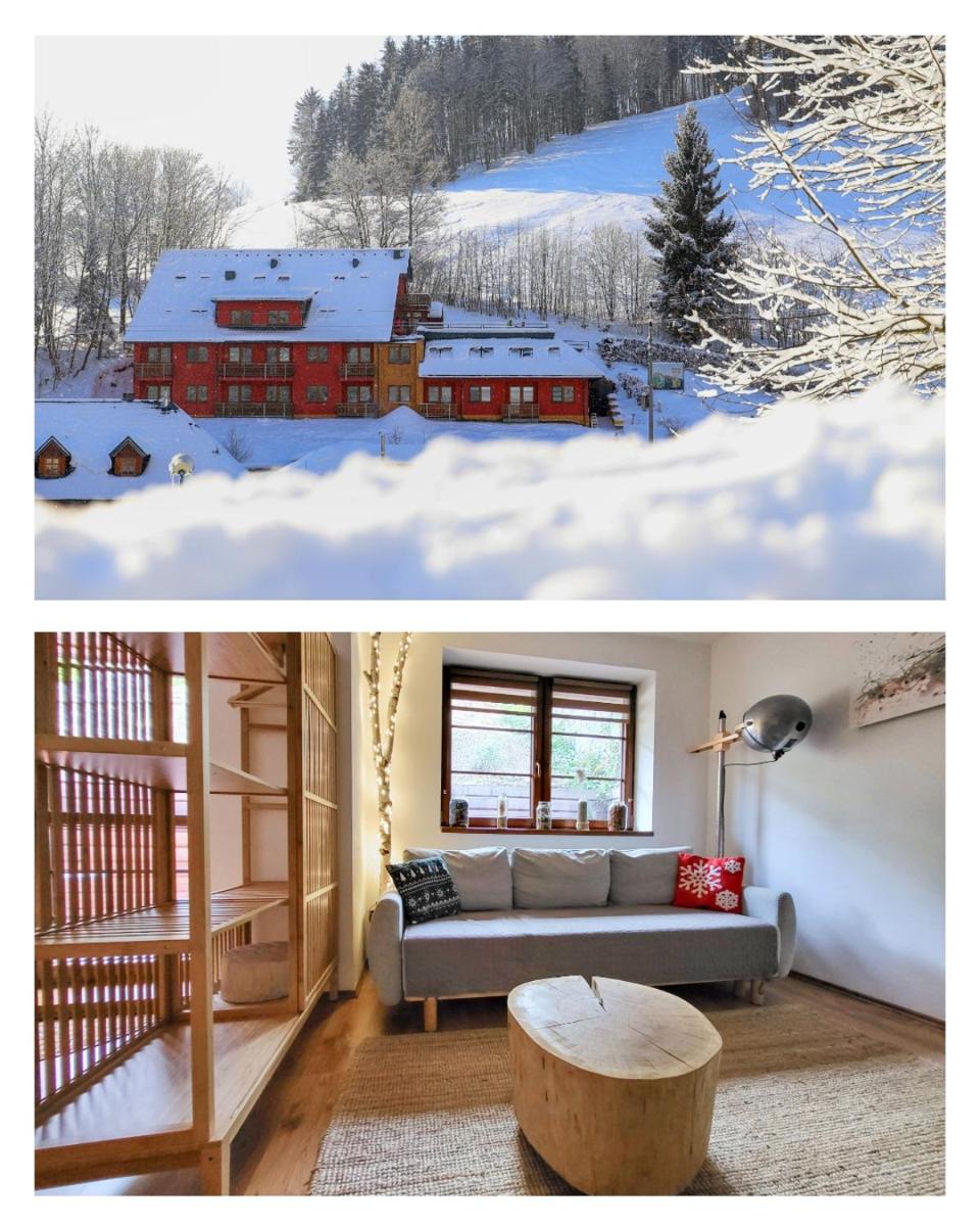 Apartmán Na Svahu, Krkonoše - Housity