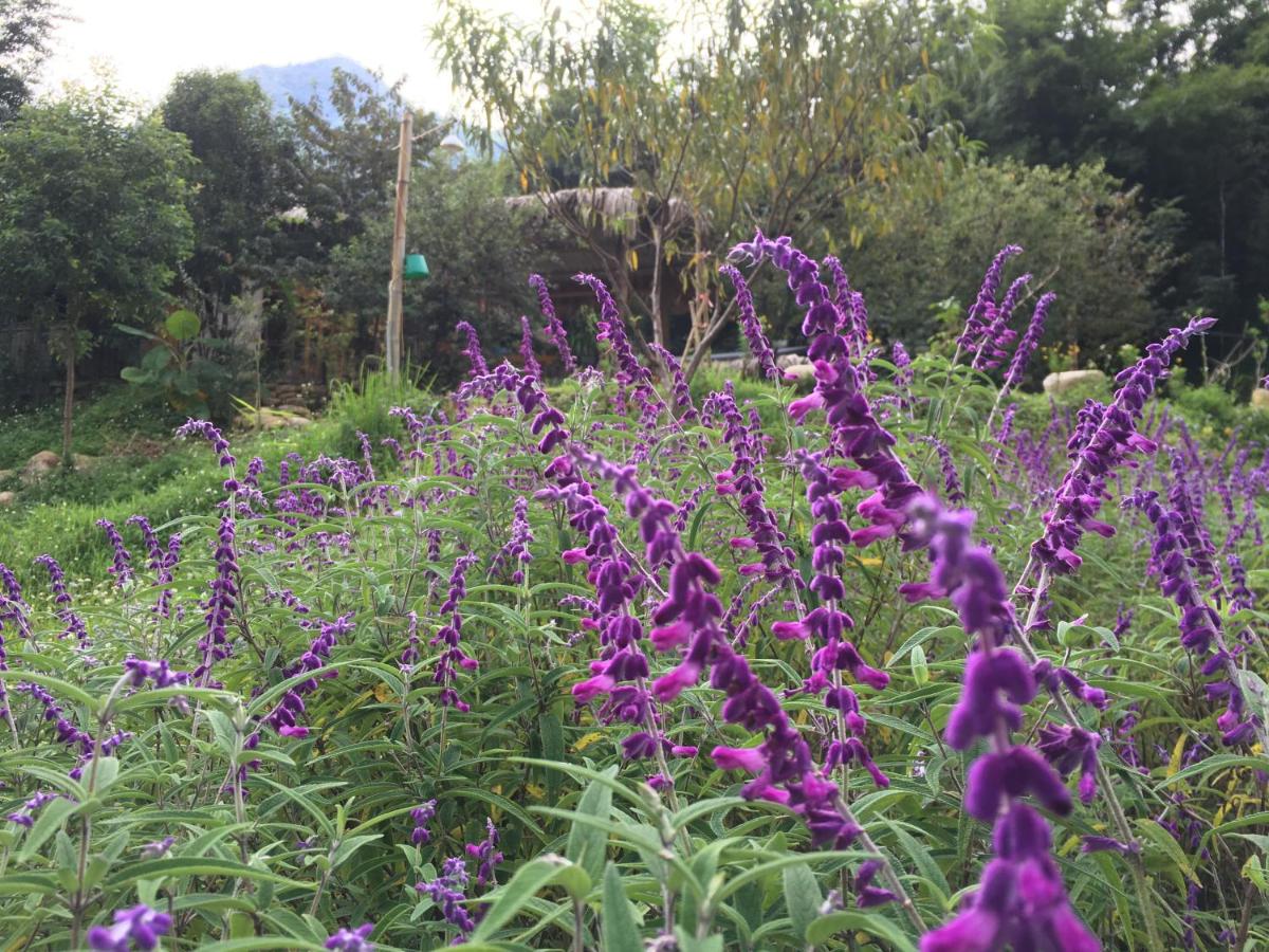 Hmong Culture Homestay - Housity