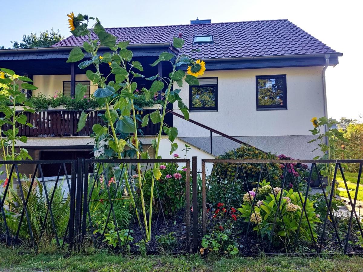 Waldhus - Housity